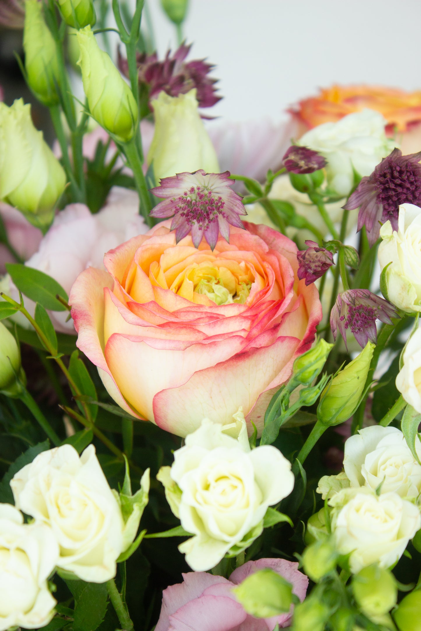 Closeup of a rose in the soft and subtle arrangement. Photography by Vibeke Silverthorne, 2023