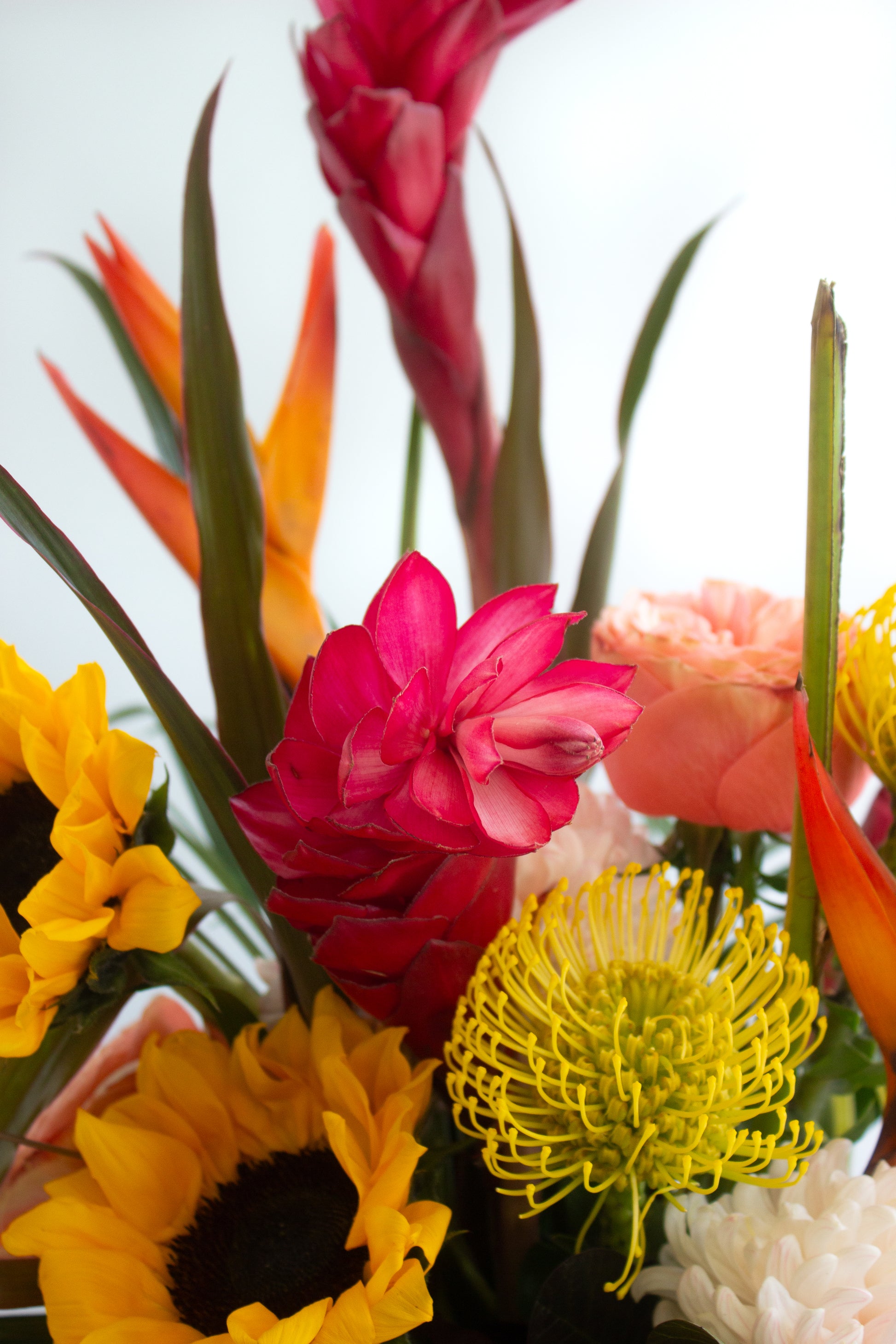 Closeup of tropical arrangement. Photography by Vibeke Silverthorne, 2023
