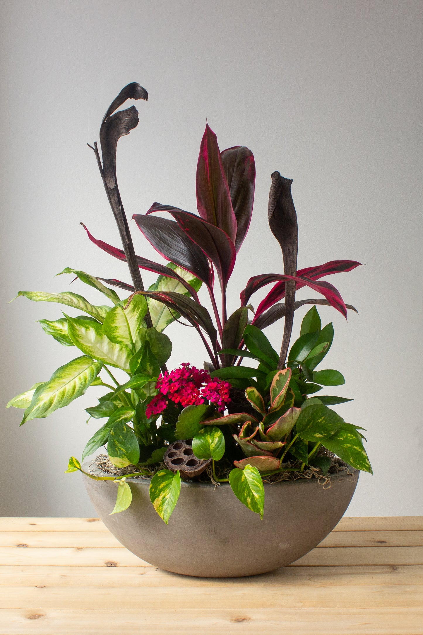 Colourful plants in wide grey clay pot.  Photography by Vibeke Silverthorne, 2023. 