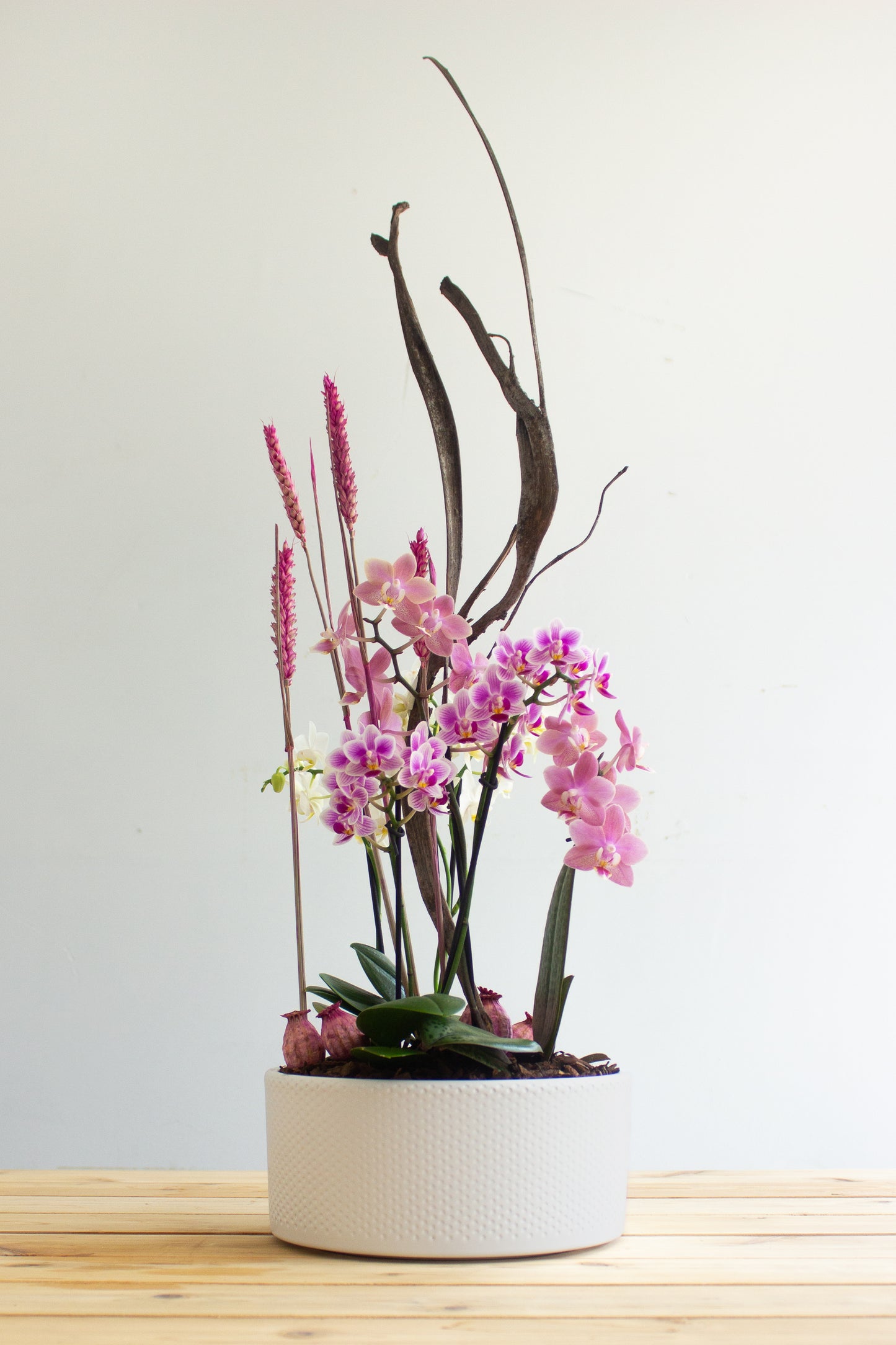 Pink orchid arrangement. Photography by Vibeke Silverthorne, 2023